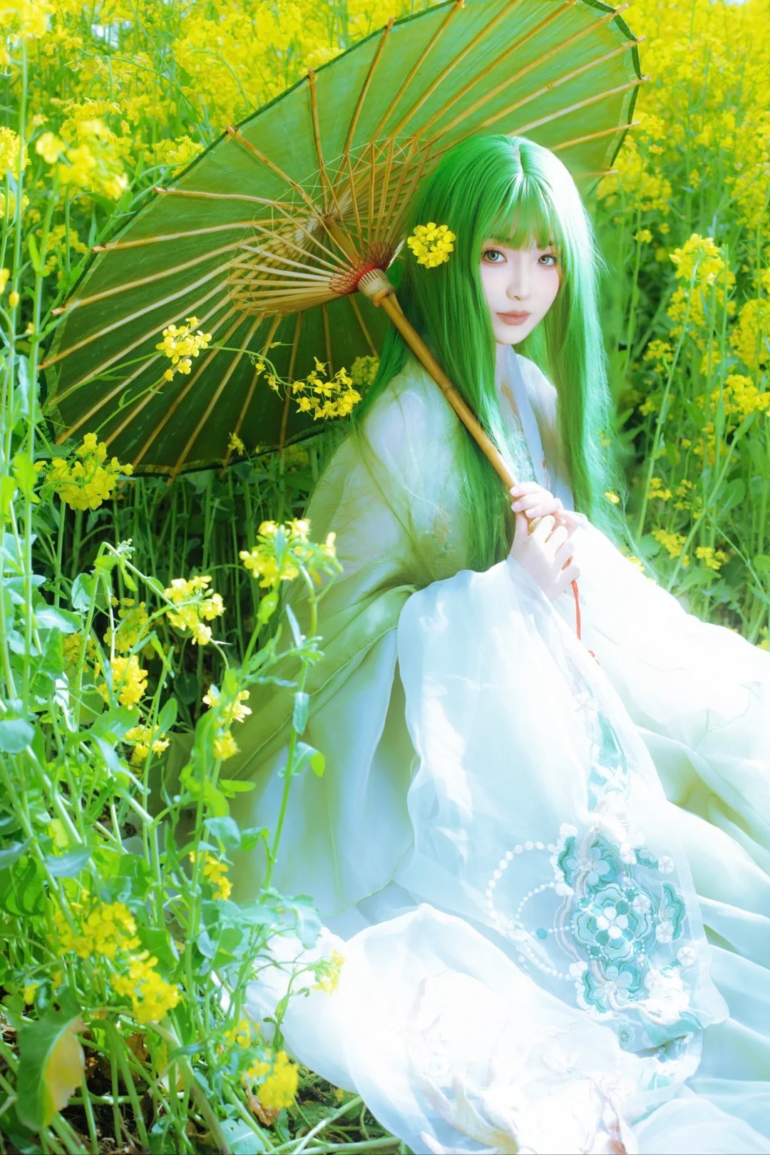 油菜花春日畅想‖绿意精灵……_10_风吟（古风版）_来自小红书网页版.jpg