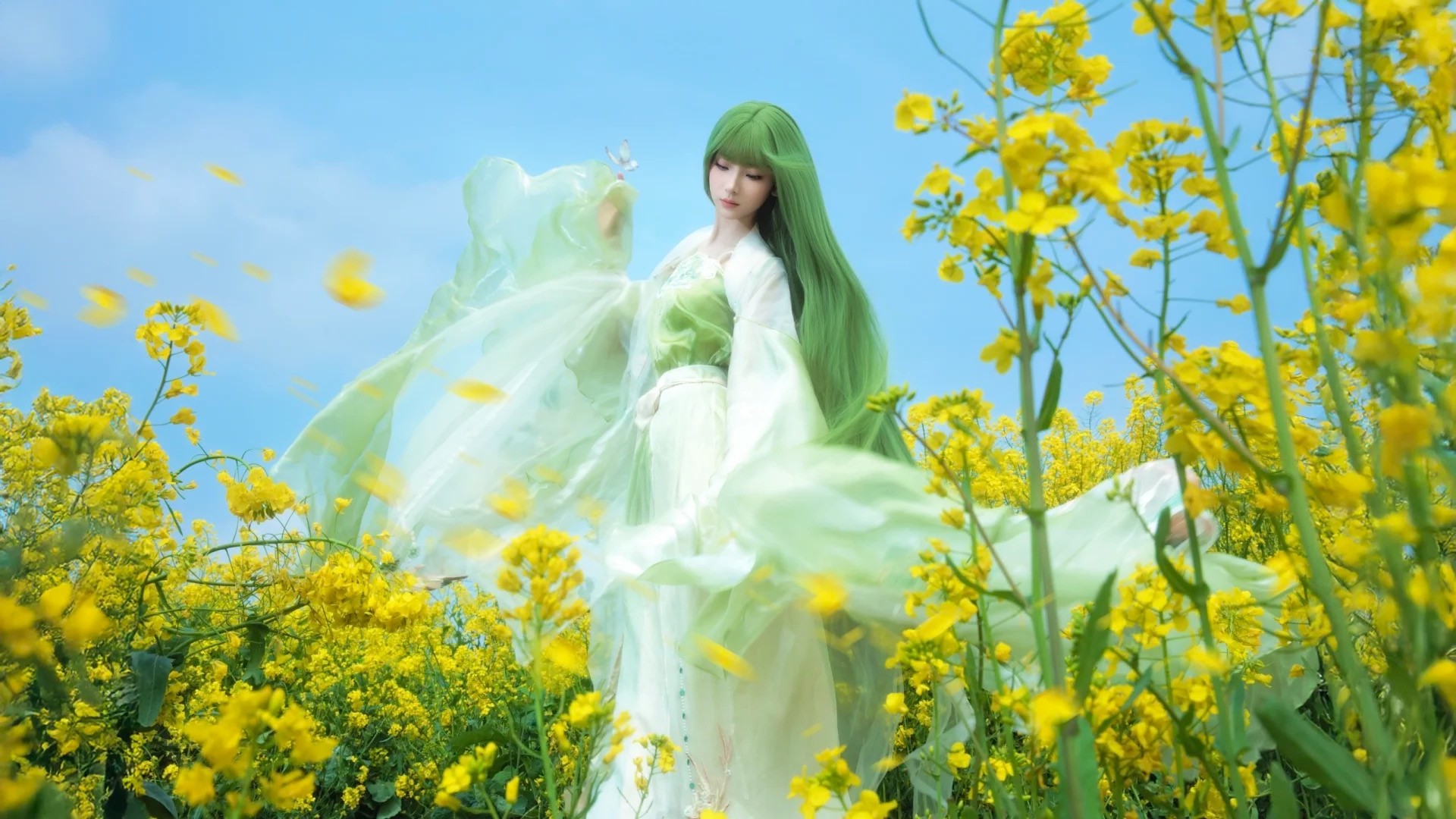 油菜花春日畅想‖生命力 自由 风 蝴蝶……_5_风吟（古风版）_来自小红书网页版.jpg
