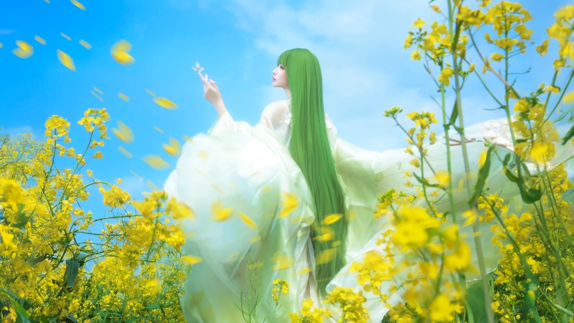 油菜花春日畅想‖生命力 自由 风 蝴蝶……_6_风吟（古风版）_来自小红书网页版.jpg