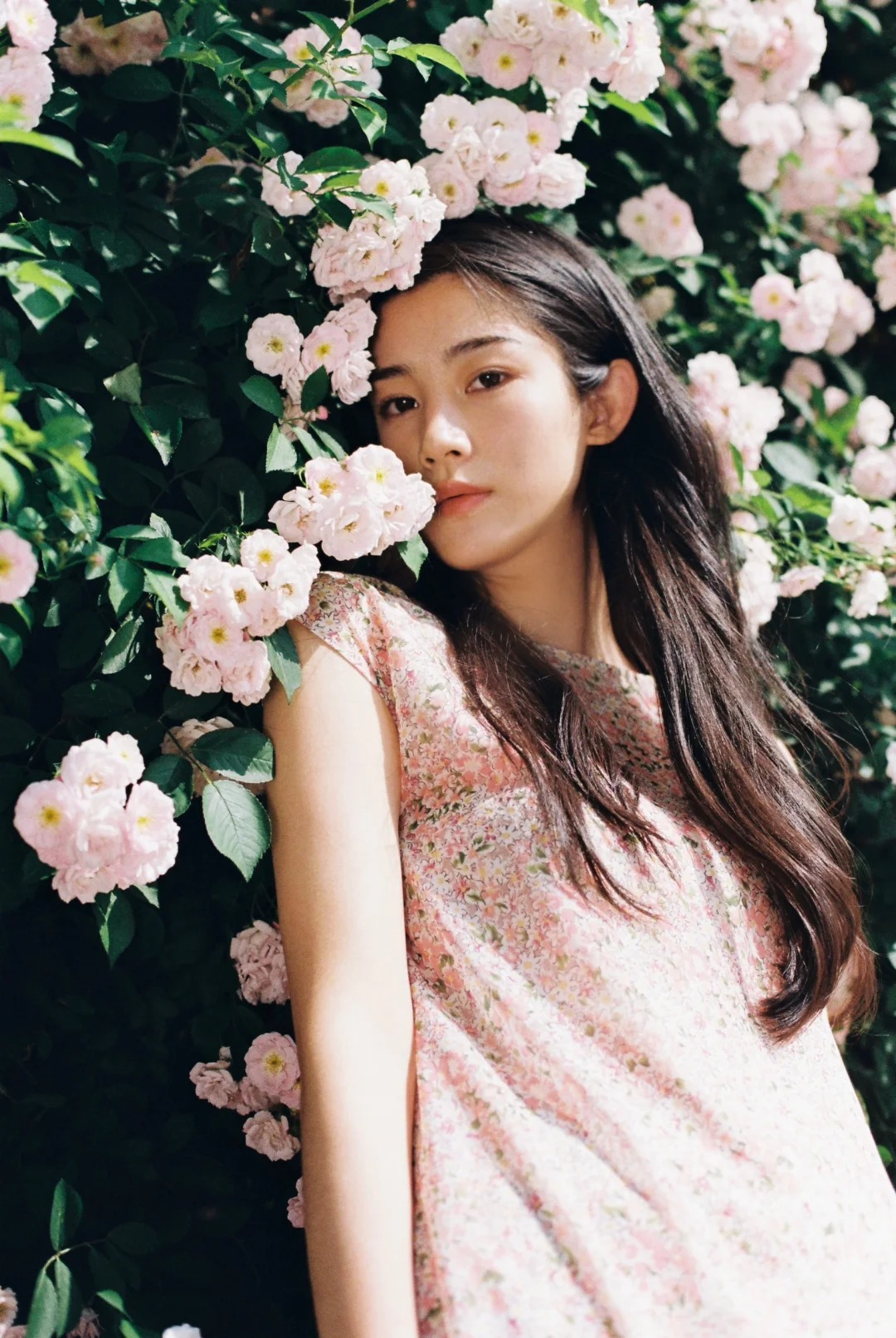 在春天只需要像花儿一样绽放就好🌸_1_见南山_来自小红书网页版.jpg