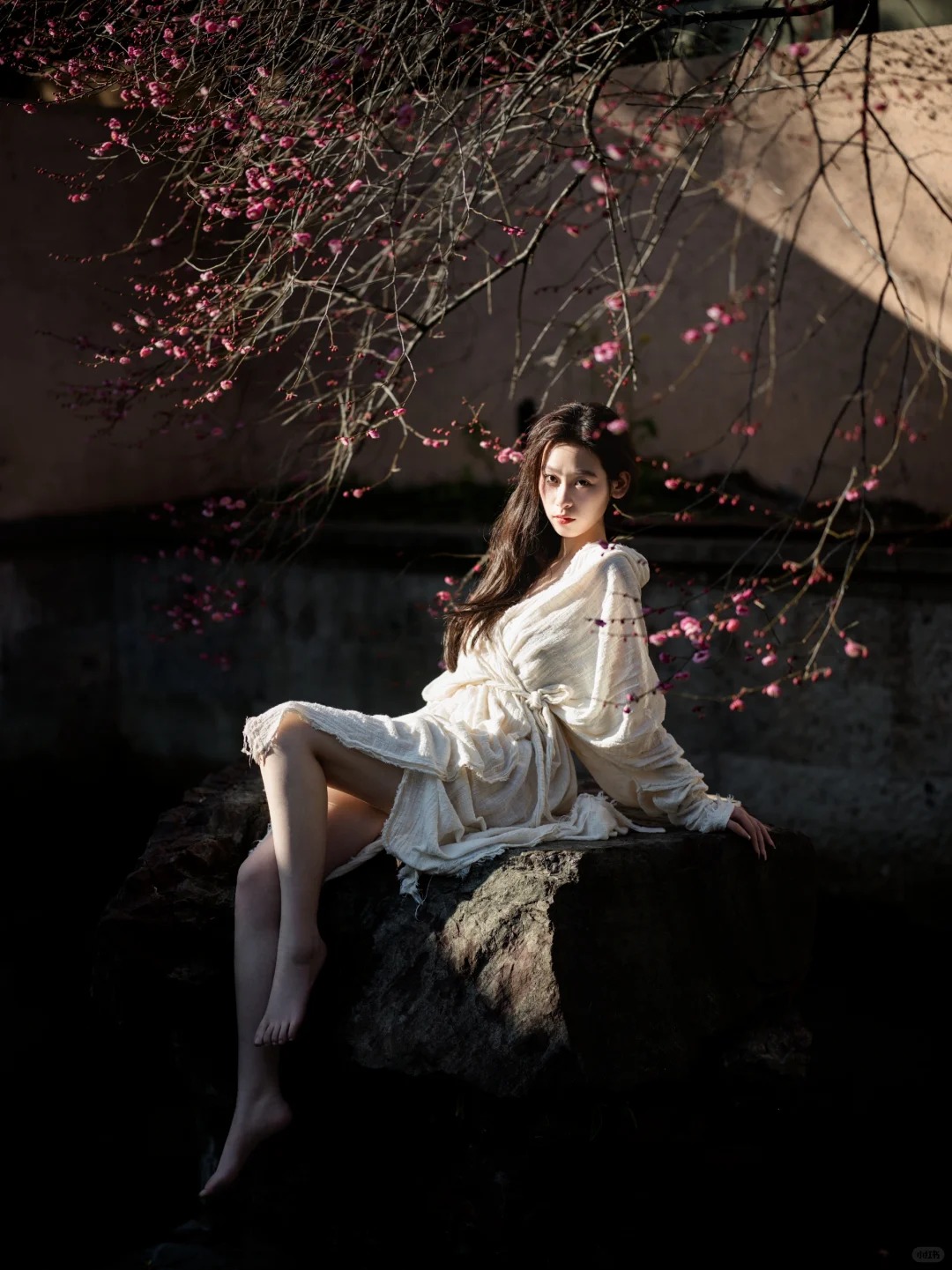 梅 _ 花开了_5_摄影师蜉蝣_来自小红书网页版.jpg