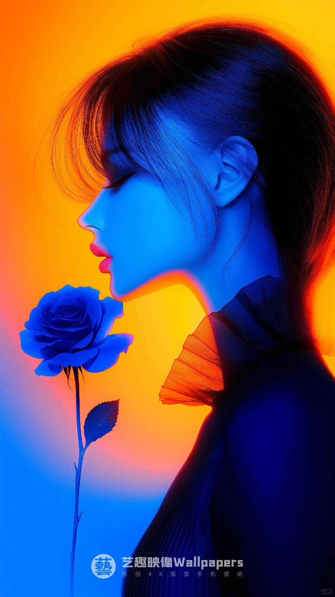手机壁纸#D432丨蓝玫撞橙丽人入画丨12P_8_艺趣映像Wallpapers_来自小红书网页版.jpg