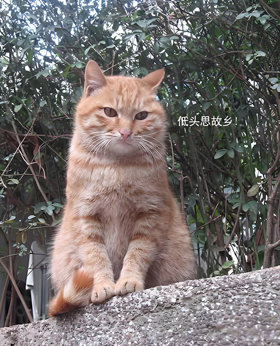 时光41.乡愁1.jpg