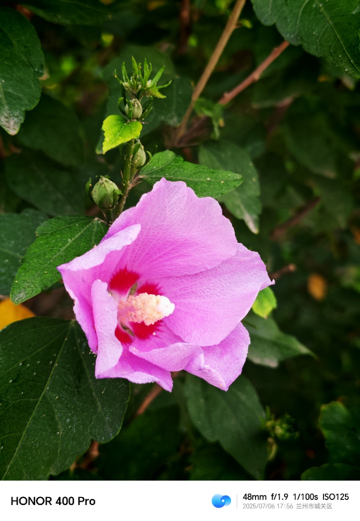 IMG_20250706_175617.jpg