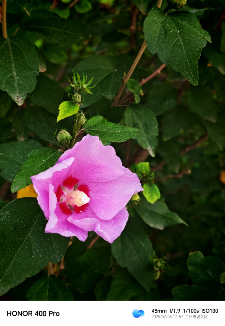IMG_20250706_175720.jpg