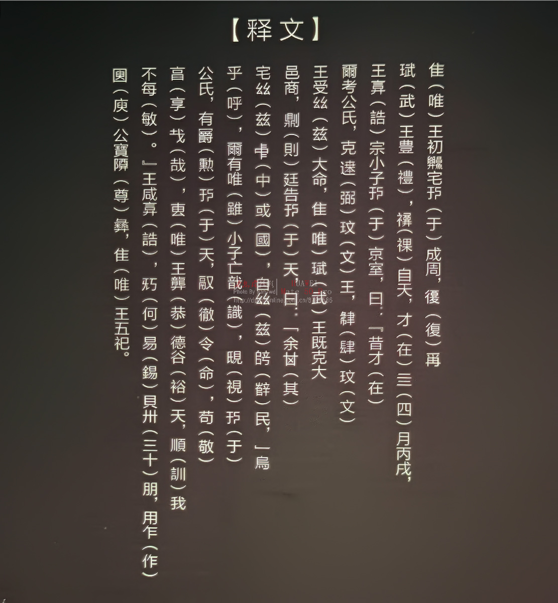 hz (6).jpg