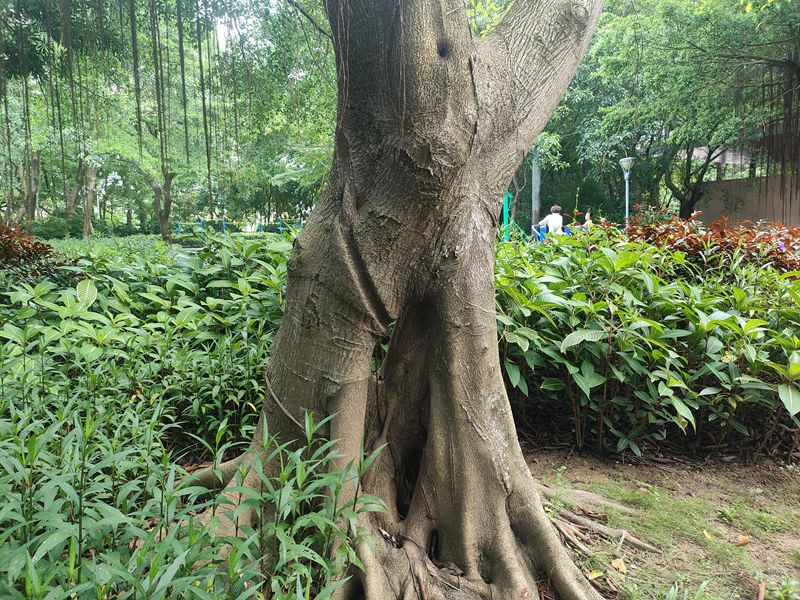 05_副本.jpg