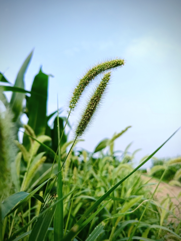 MEITU_20250717_111348606.jpg