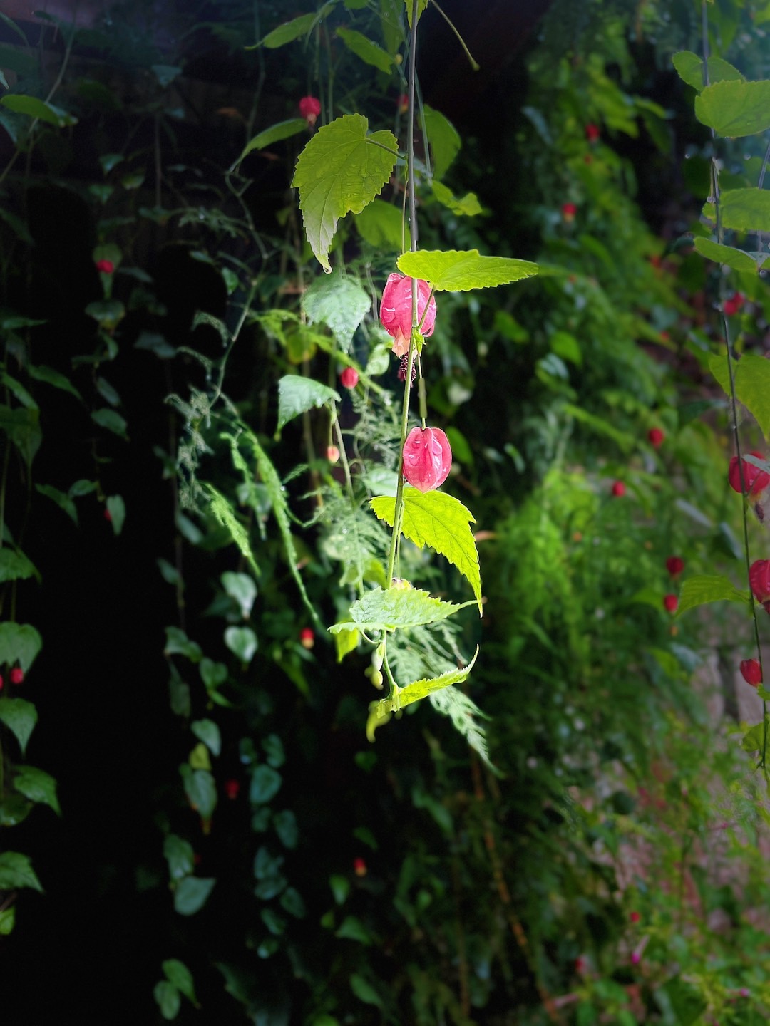 86273806-EBBC-4A7B-9DD7-6F7073F3CDA9.jpeg
