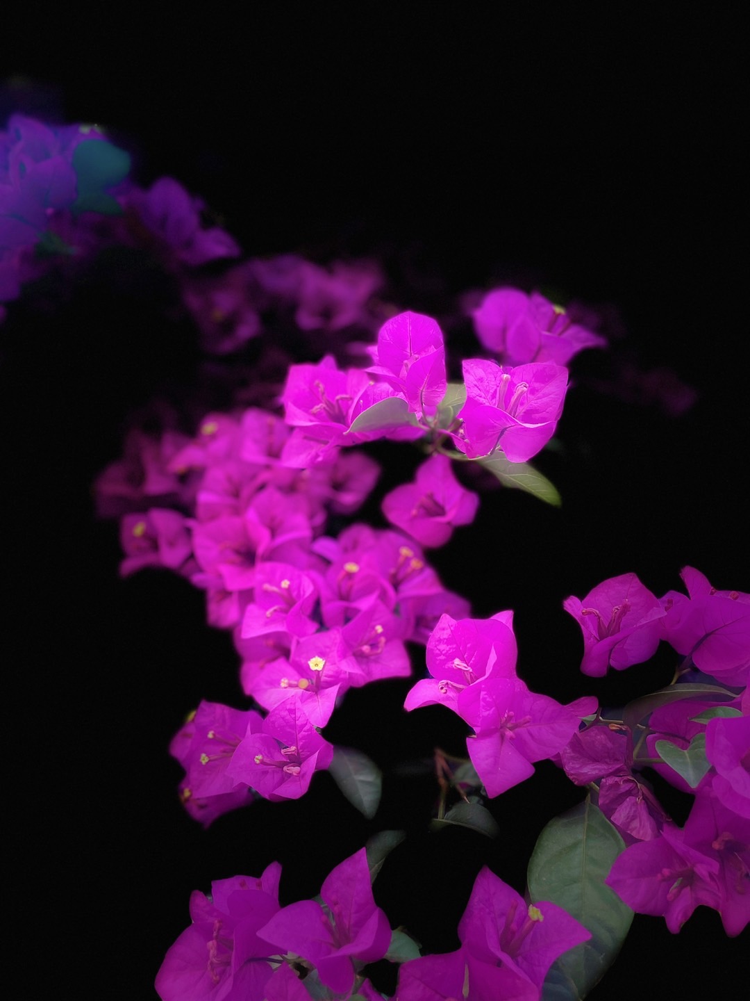 DC1ABAF9-96F9-4782-800C-CCCDF80F42E9.jpeg