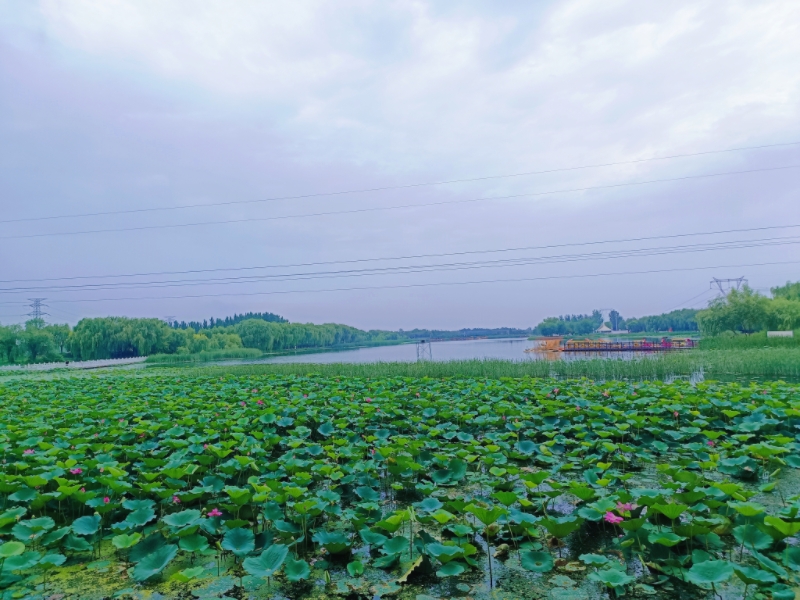 MEITU_20250722_130208846.jpg