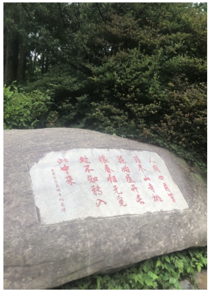 微信截图_20250726063008.png