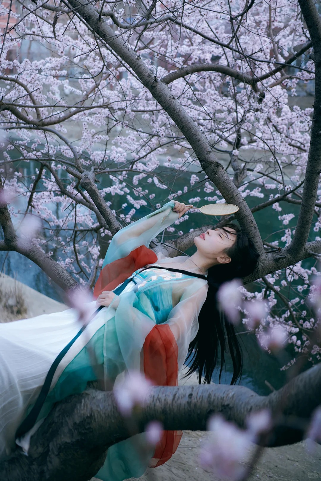 春色朦胧 _ 室外古风花景写真🌹_1_阑梦古装摄影写真馆_来自小红书网页版.jpg