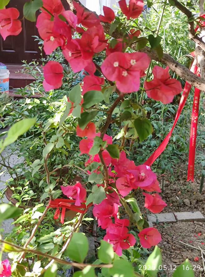 微信图片_20250722111638-1.jpg