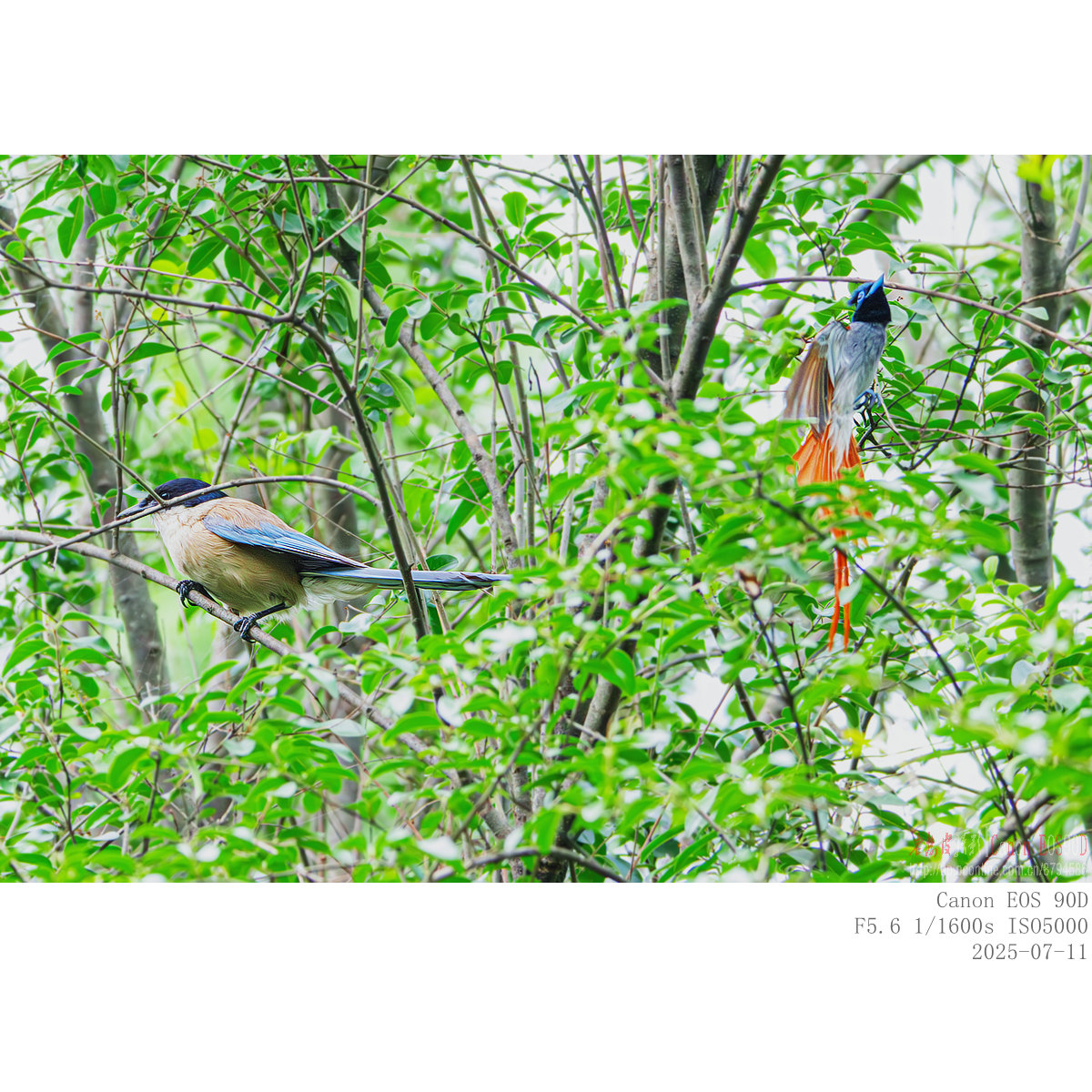 IMG_2407_副本.jpg