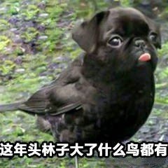t016c5da0ba730bebc5.jpg