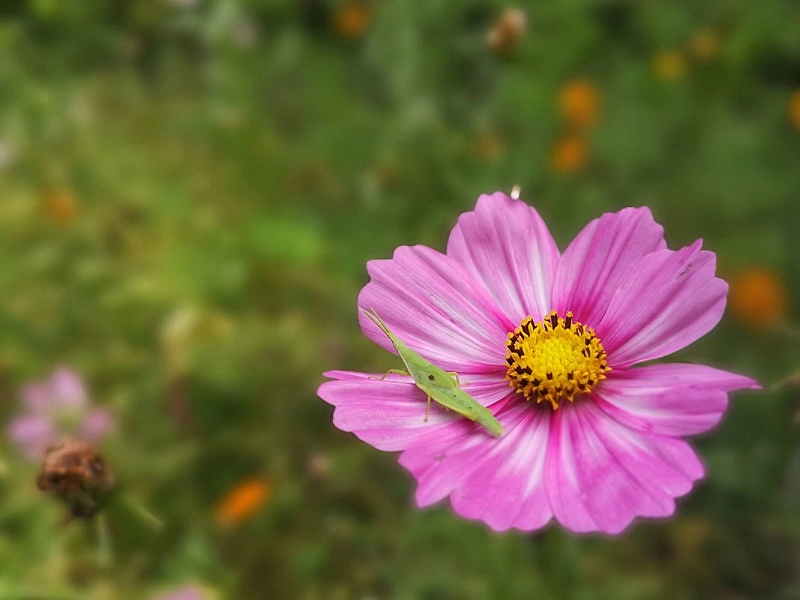 MEITU_20250817_203021092.jpg