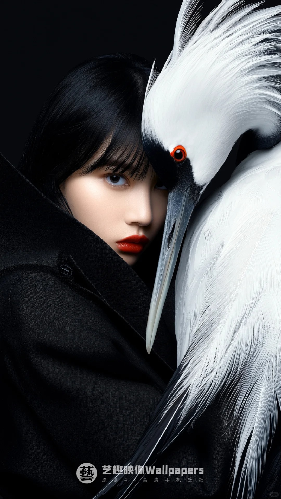 手机壁纸#D438丨仙鹤与少女丨12P_6_艺趣映像Wallpapers_来自小红书网页版.jpg