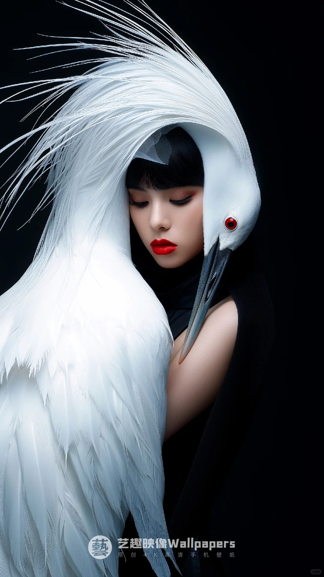 手机壁纸#D438丨仙鹤与少女丨12P_8_艺趣映像Wallpapers_来自小红书网页版.jpg