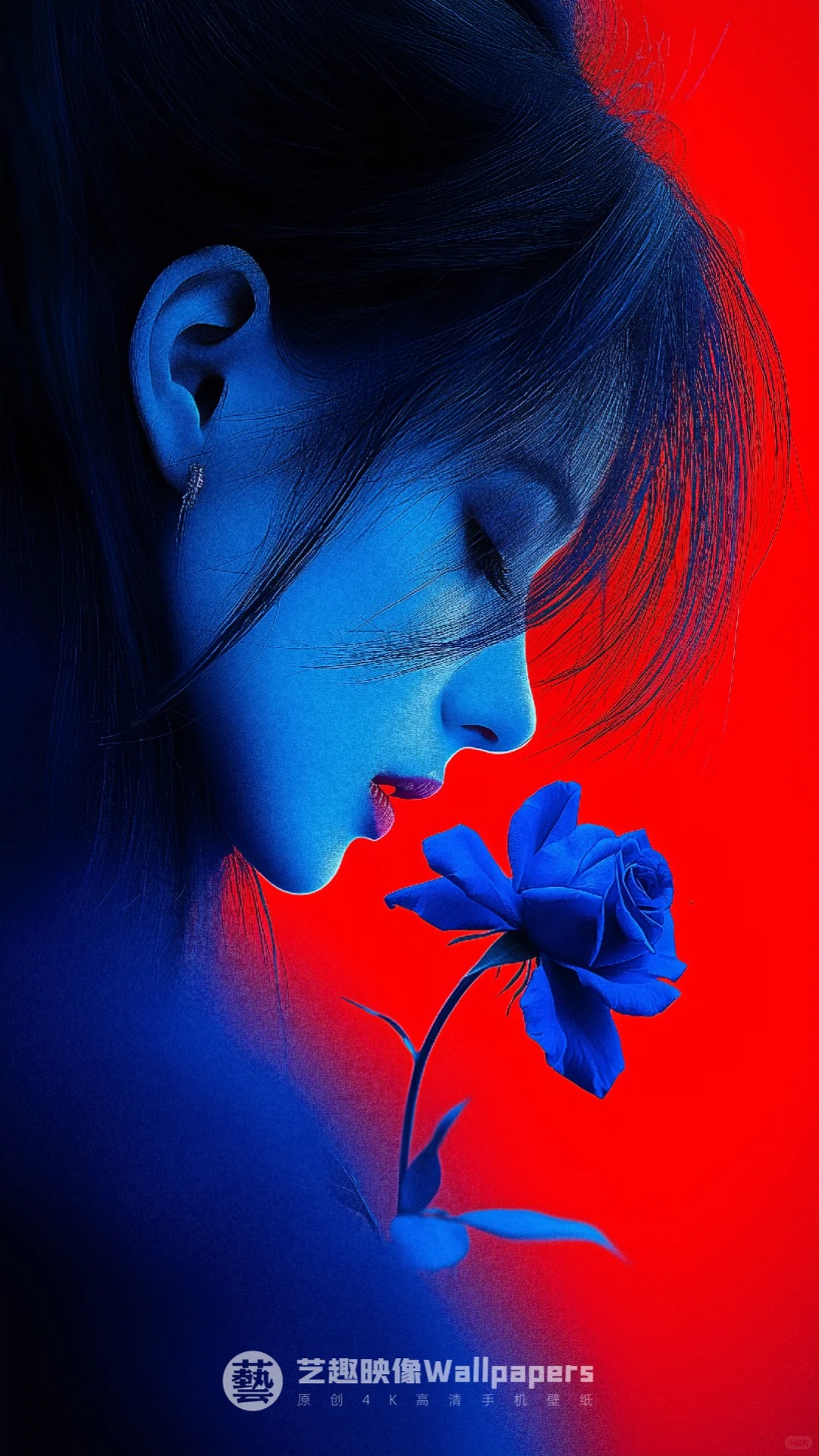 手机壁纸#D458丨💋蓝色玫瑰摩登女郎🌹_12_艺趣映像Wallpapers_来自小红书网页版.jpg