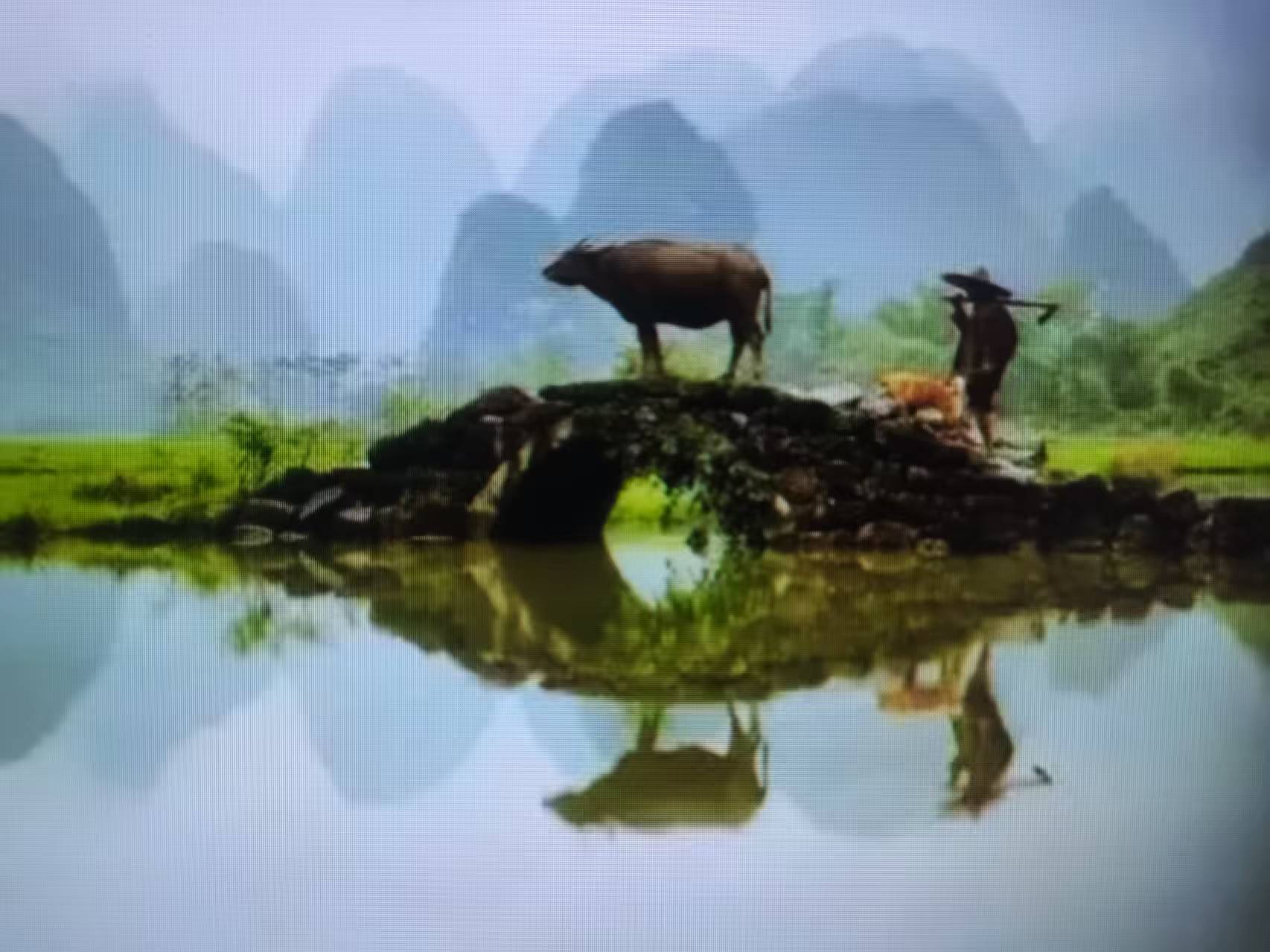 微信图片_20250822163924_2_49.jpg