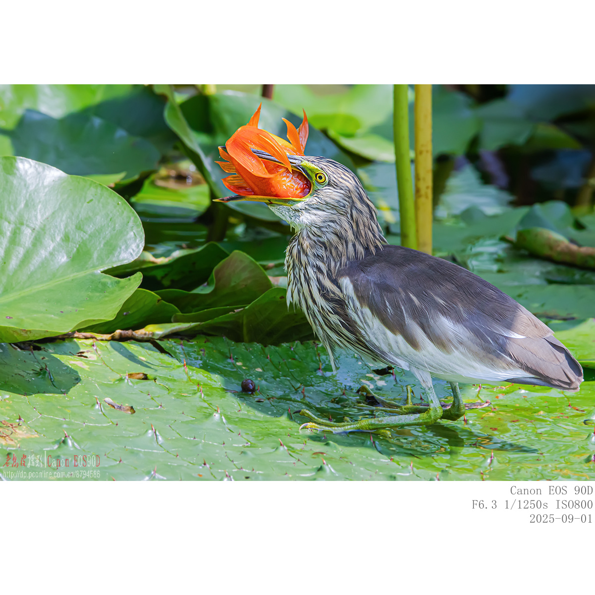 IMG_5501_副本.jpg