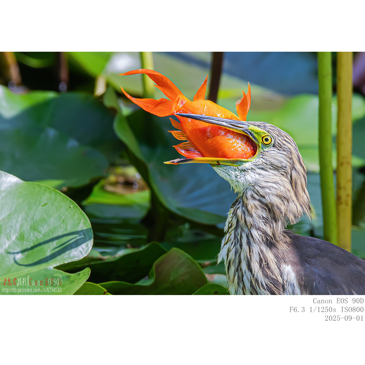 IMG_5505_副本.jpg