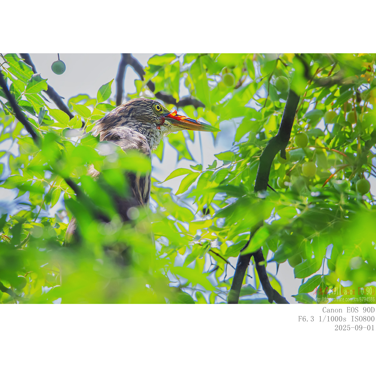 IMG_5567_副本.jpg