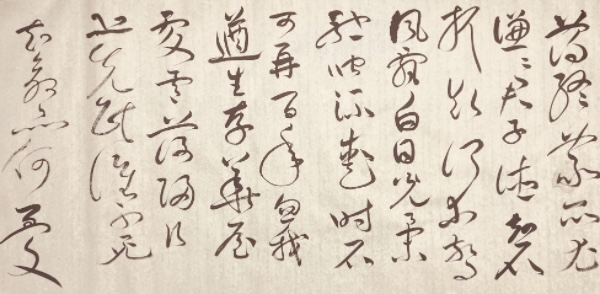 7423489B-A29D-41AE-8CBB-CBA943BACD27.jpeg