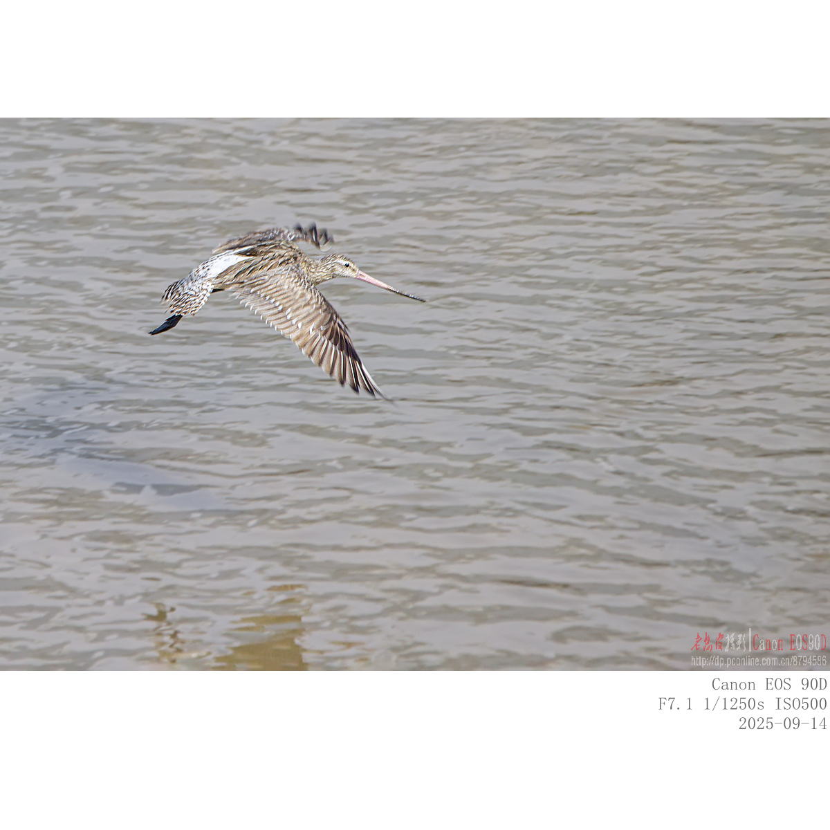 IMG_5978.jpg