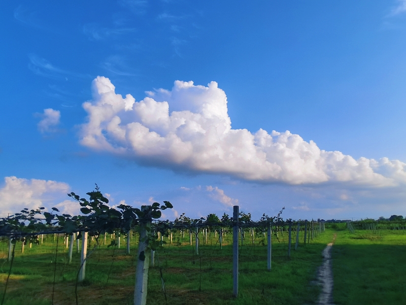 MEITU_20250915_190610616.jpg
